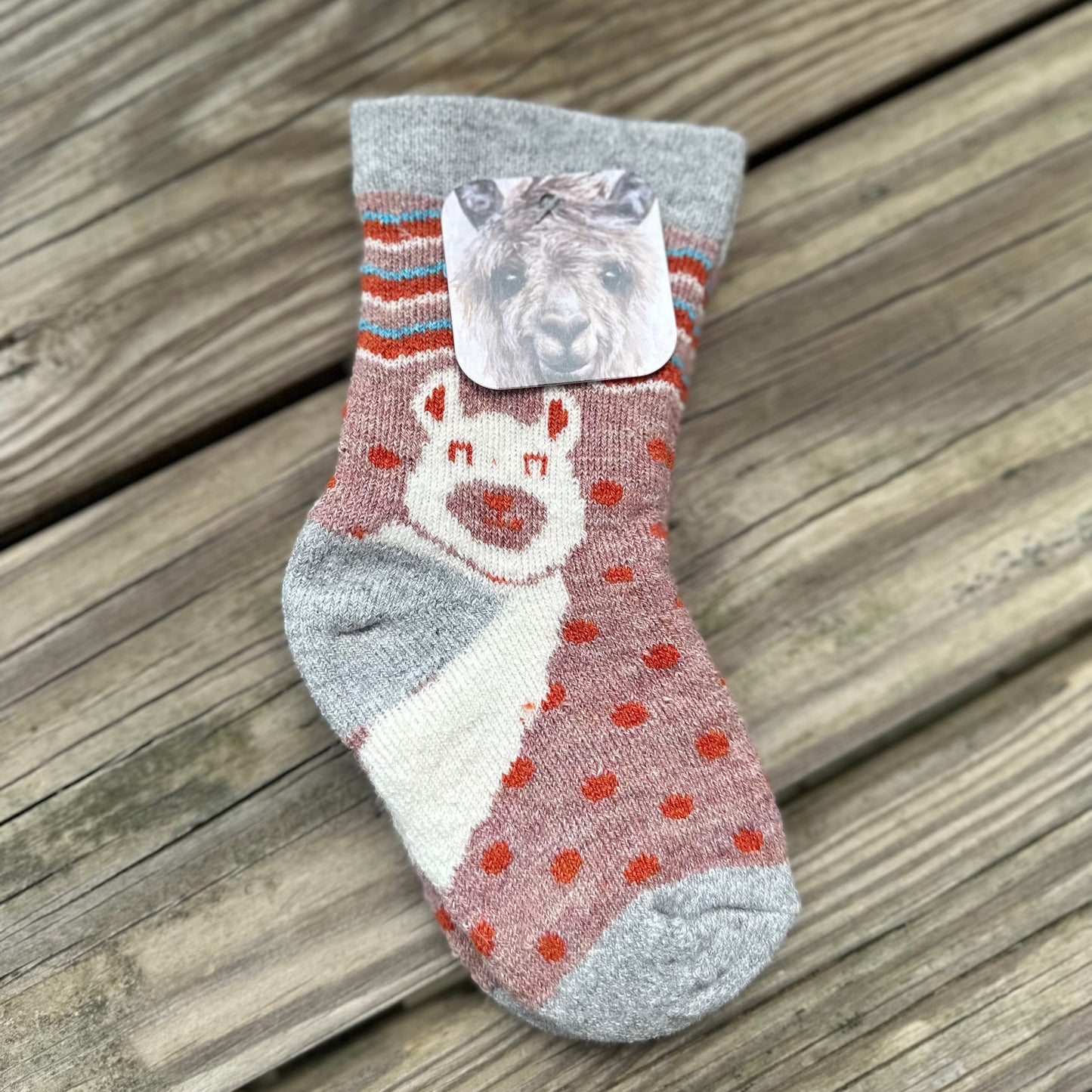 Happy Alpaca Kids Socks