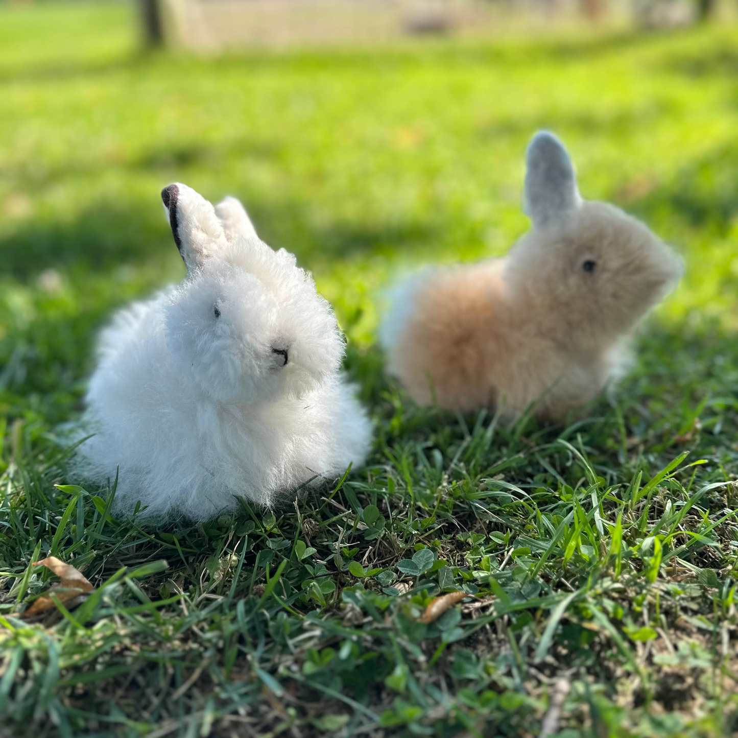 Sitting Bunny 7"