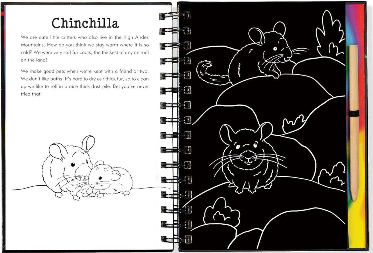 Llamas and Friends Scratch and Sketch