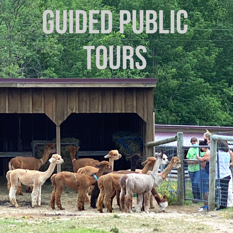 GUIDED PUBLIC TOURS