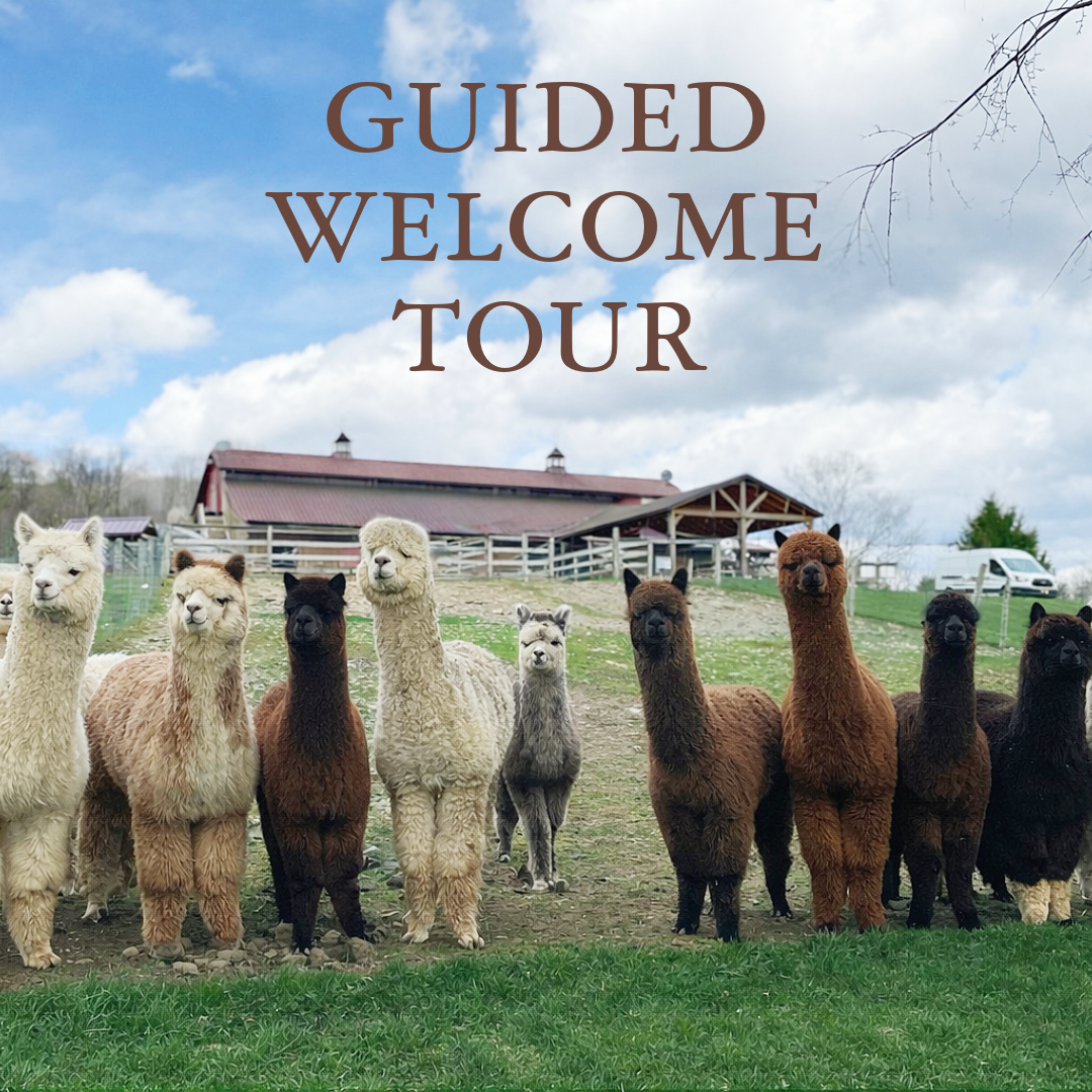 GUIDED WELCOME TOUR (15-Minute Tour + Explore the Farm at Your Own Pace)