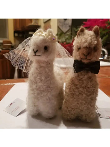 BRIDE AND GROOM ALPACADORABLE