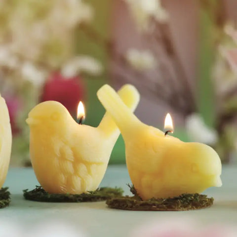 Beeswax Songbird Candles