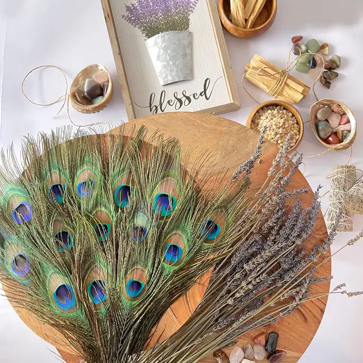 Natural Peacock Feathers
