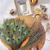 Natural Peacock Feathers