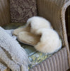 Samantha Holmes Fur Slides