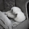 Samantha Holmes Fur Slides