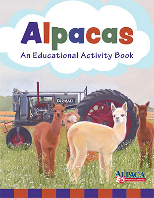 ACTIVITY BOOK