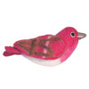 WILD WOOLIES FLETED BIRD / Purple Finch