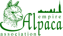 EMPIRE ALPACA YARN