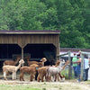 GUIDED PUBLIC TOURS
