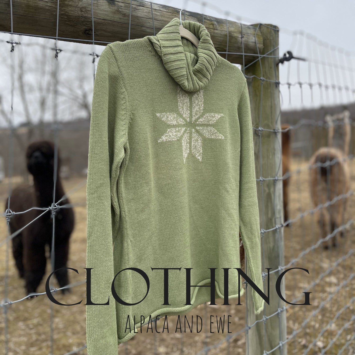 Clothing