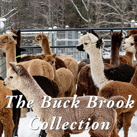 The Buck Brook Collection
