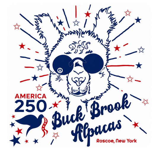 BBA America 250 Tee Shirt