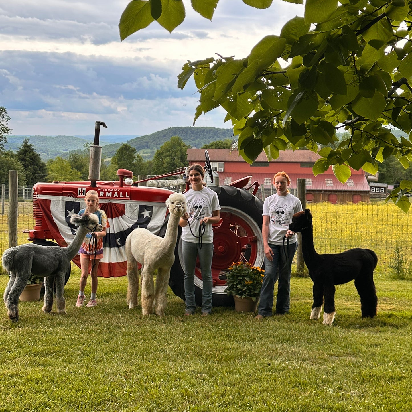 STARS, STRIPES & FARM LIFE MINI PHOTO SESSIONS