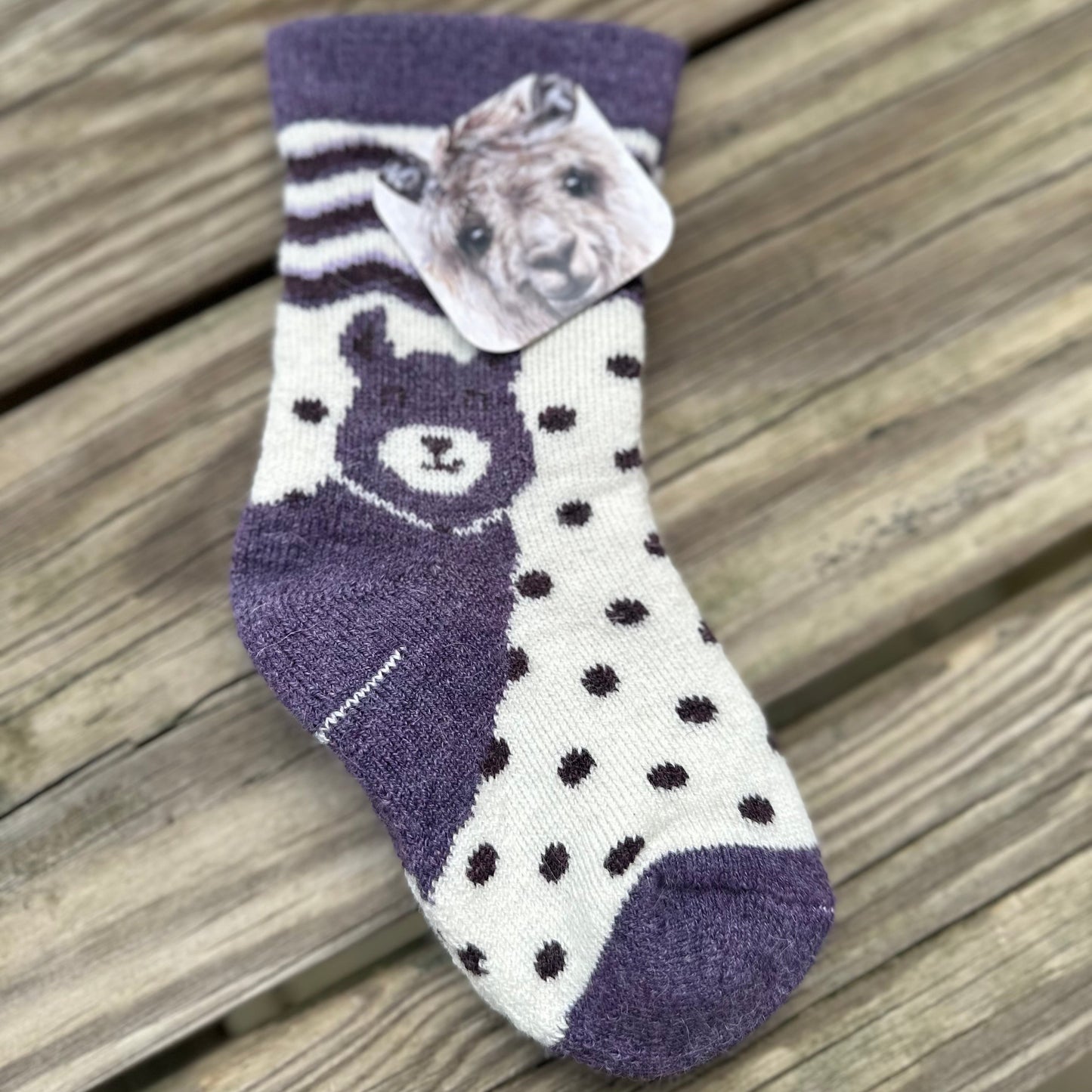 Happy Alpaca Kids Socks
