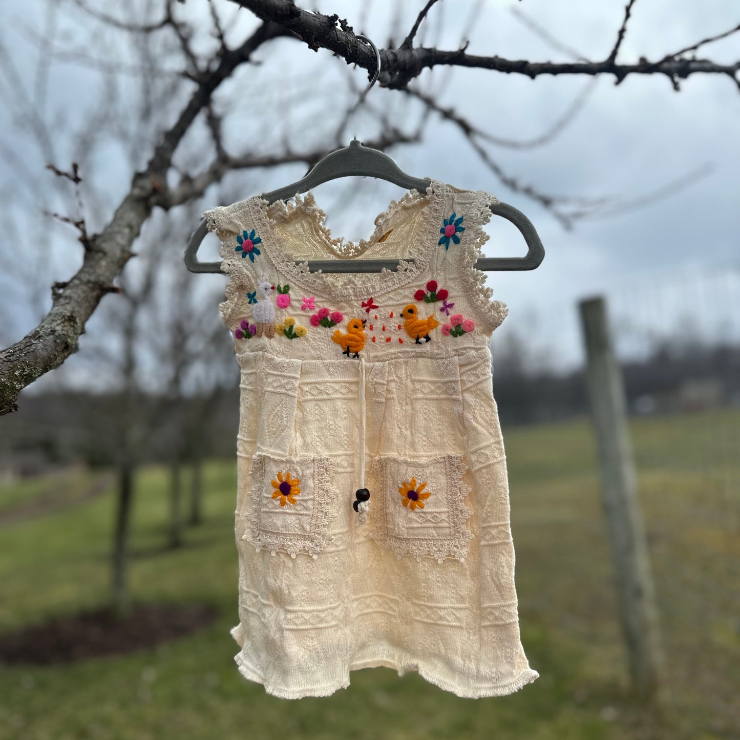 Little Farm Friends Garden Dress
