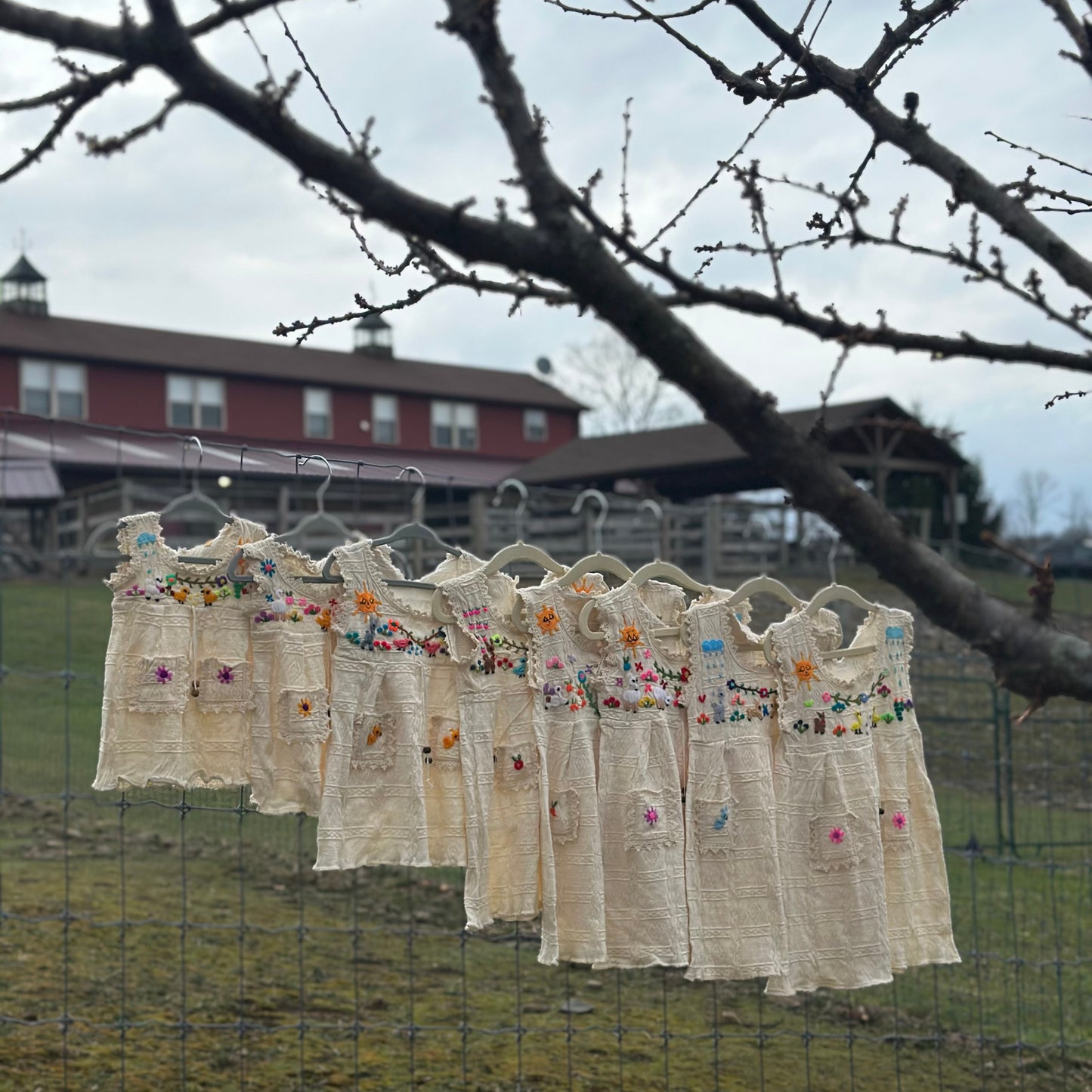 Little Farm Friends Garden Dress