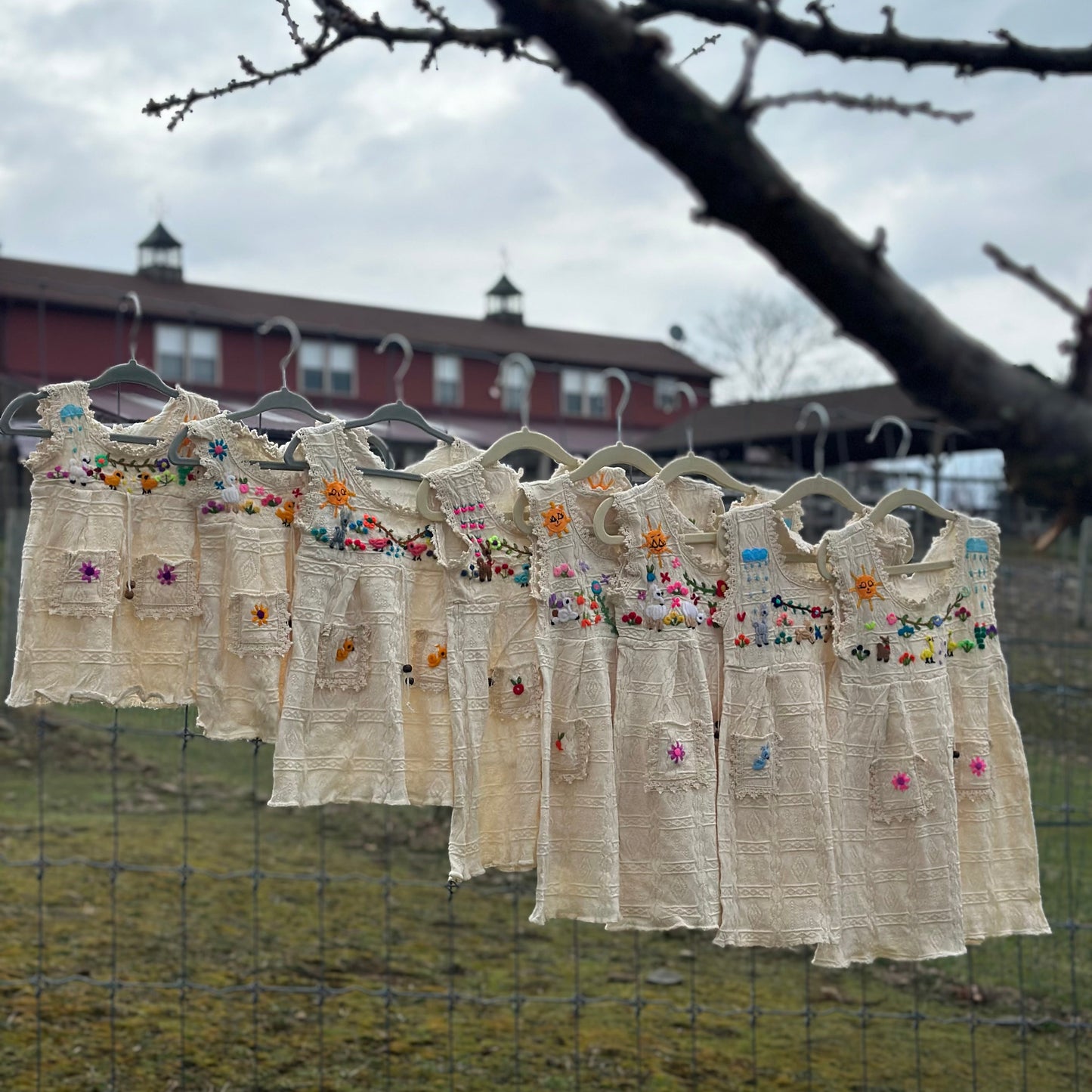 Little Farm Friends Garden Dress