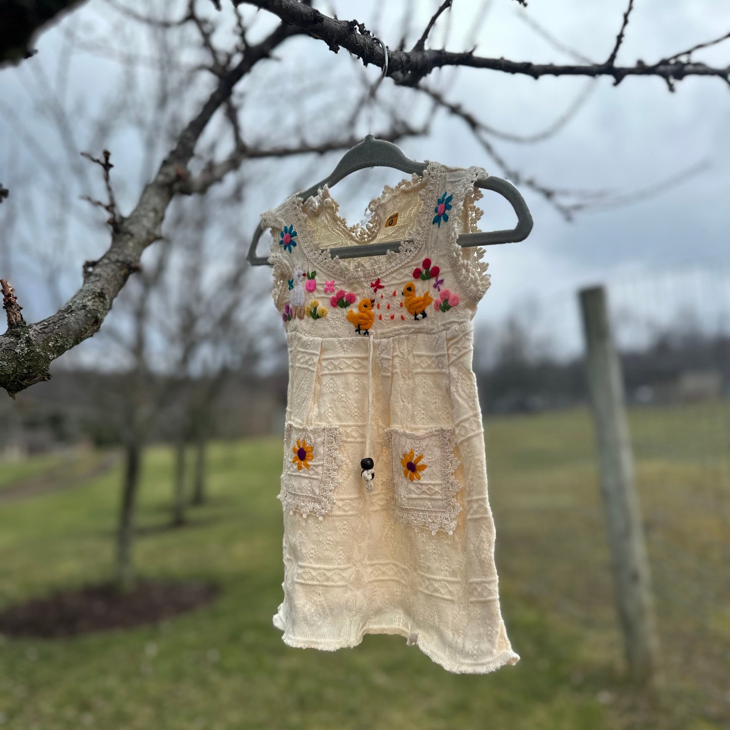 Little Farm Friends Garden Dress