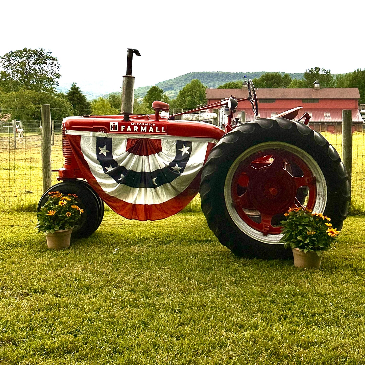 STARS, STRIPES & FARM LIFE MINI PHOTO SESSIONS