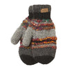 ARK SWOOL MARKET MITTENS