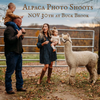 ALPACA HOLIDAY MINI PHOTO SESSIONS Saturday, NOV 30th