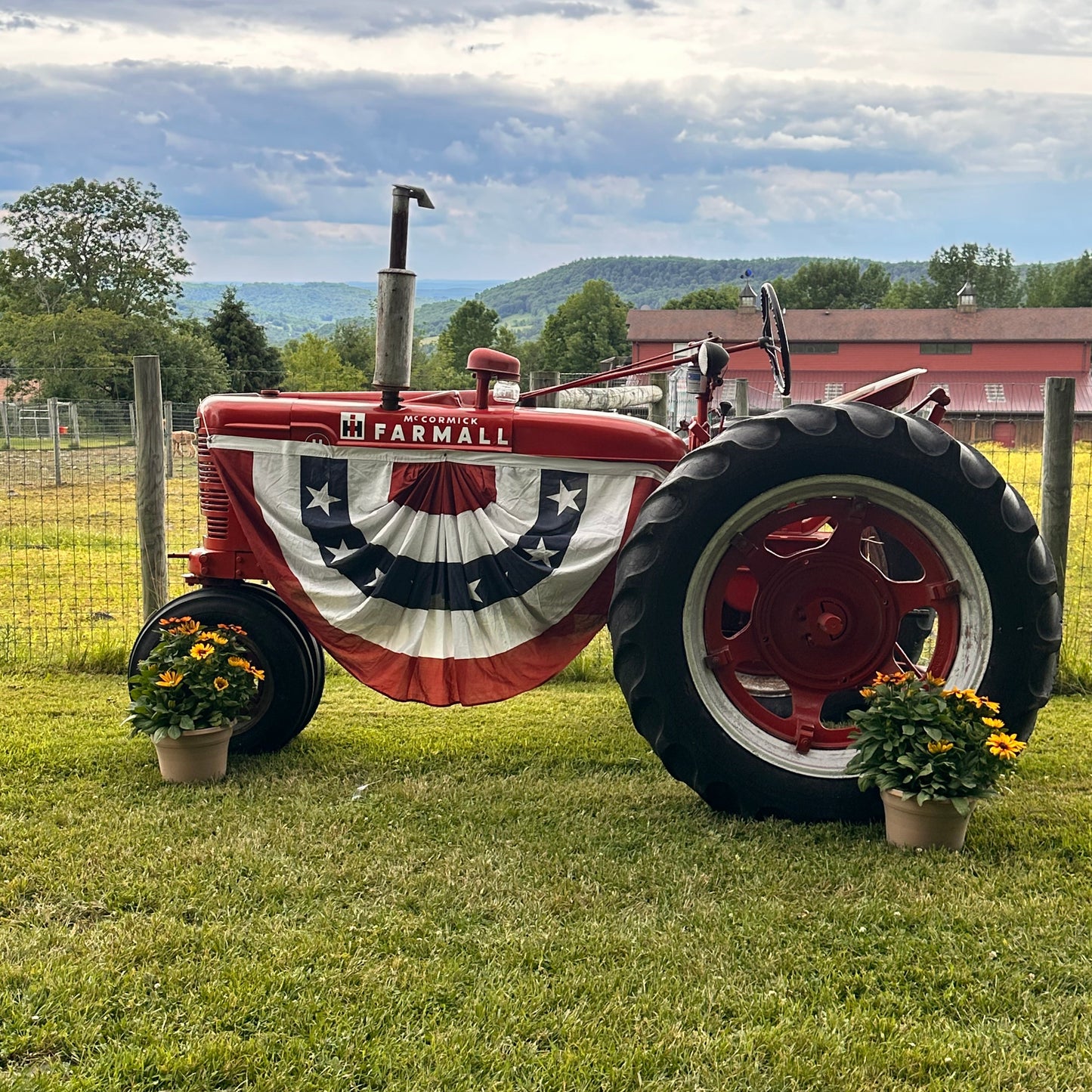 STARS, STRIPES & FARM LIFE MINI PHOTO SESSIONS