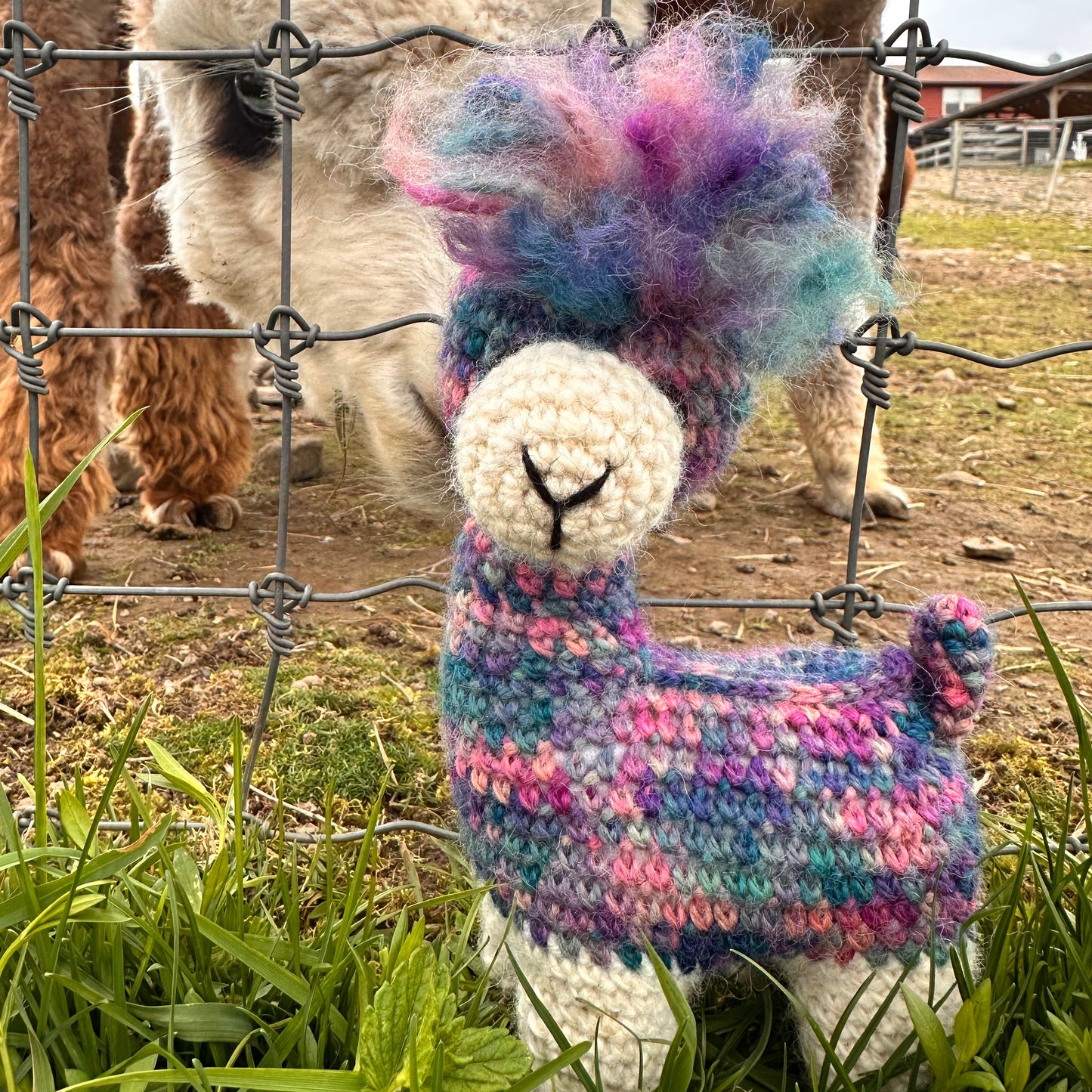 My Alpaca Friend