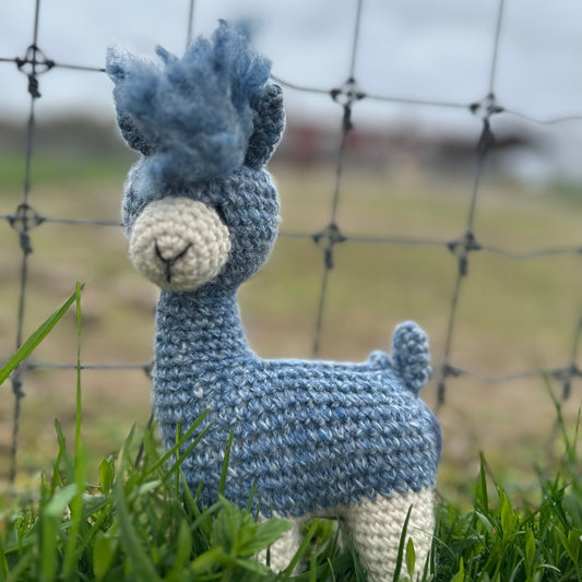 My Alpaca Friend