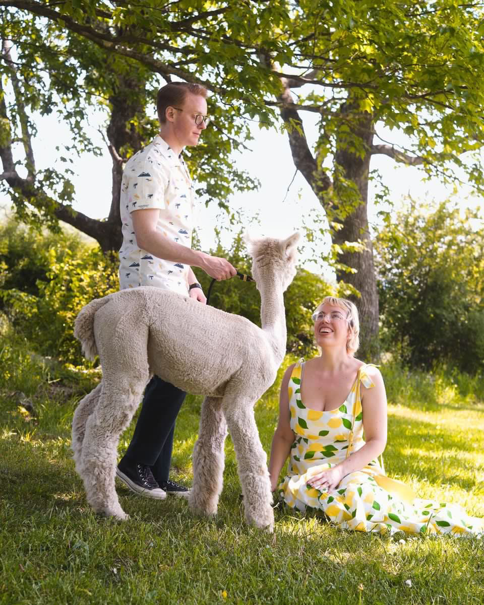 DO-IT-YOURSELF ALPACA PHOTO SHOOTS (Staff Member Assisted)