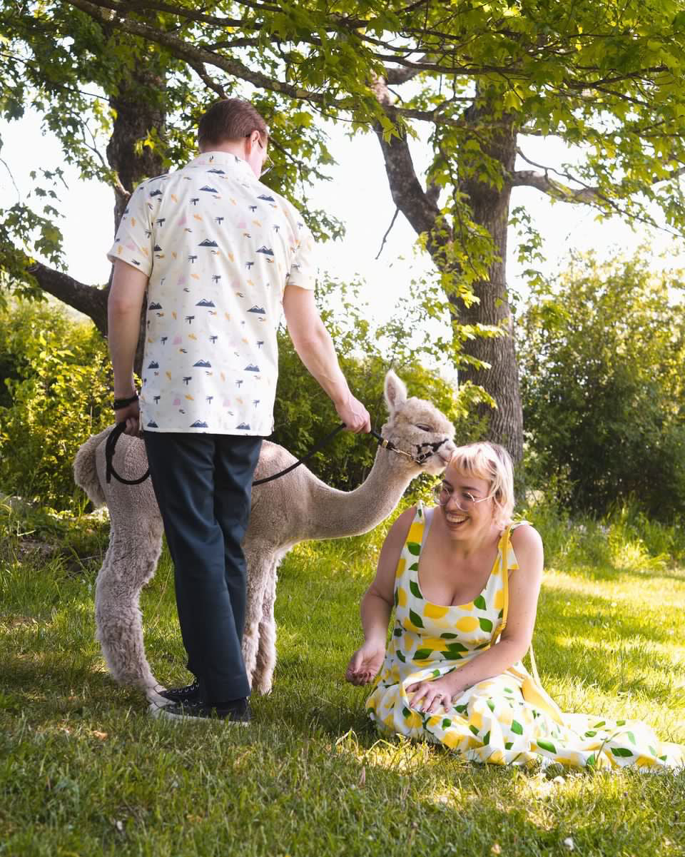 DO-IT-YOURSELF ALPACA PHOTO SHOOTS (Staff Member Assisted)