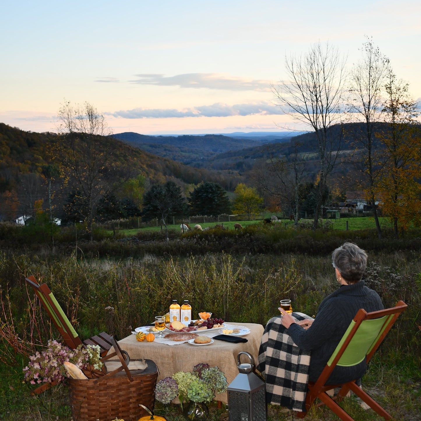TWILIGHT WITH THE ALPACAS / AUGUST 19, 2026