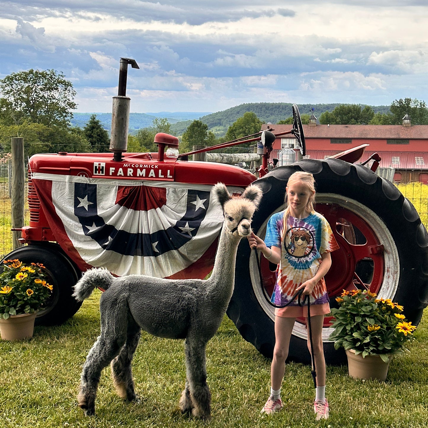 STARS, STRIPES & FARM LIFE MINI PHOTO SESSIONS