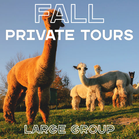 FALL PRIVATE TOURS Starts SEPT 8th (LARGE GROUP up to 10ppl)