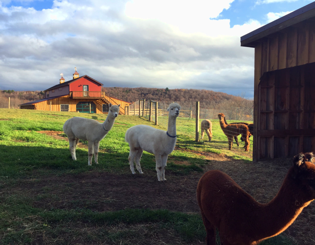 PRIVATE TOURS (Comprehensive Farm Tours for Small + Large Groups)