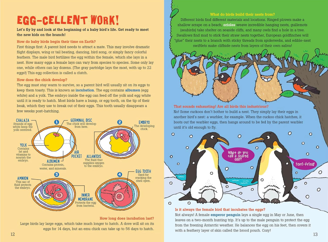 100 Questions About Birds