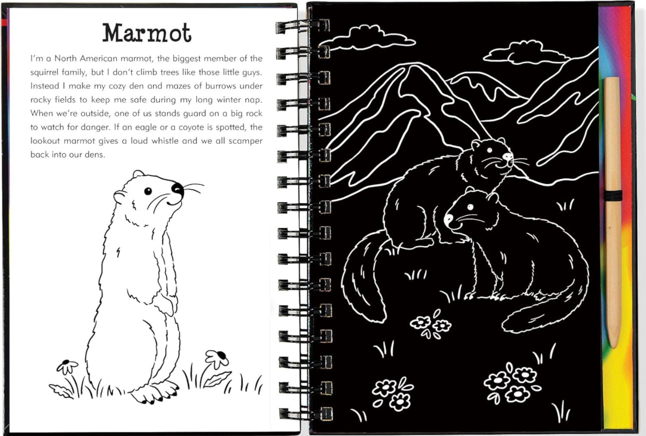 Llamas and Friends Scratch and Sketch