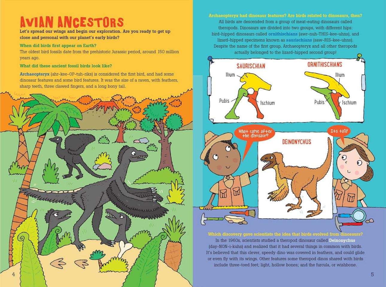 100 Questions About Birds