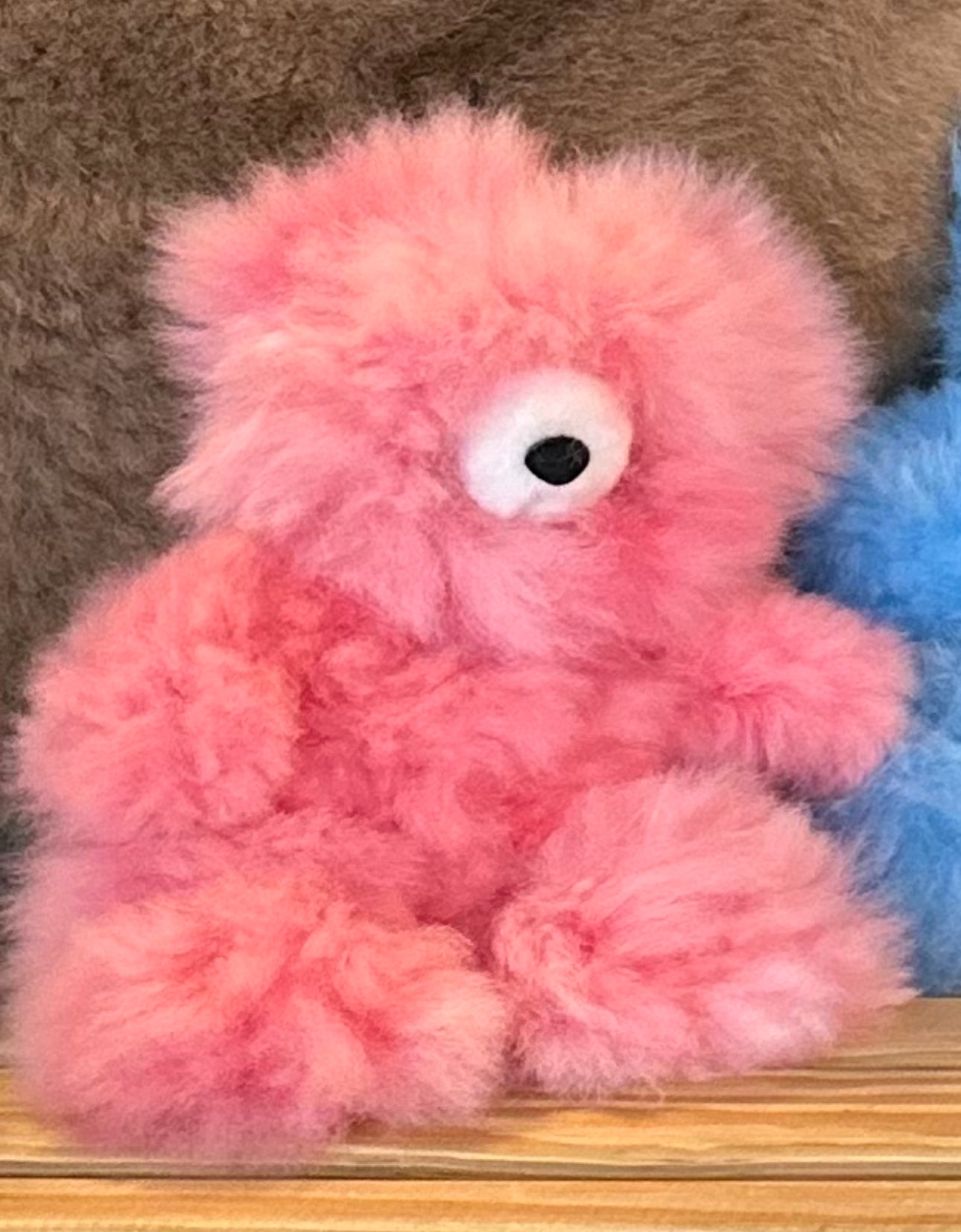 COLORED TEDDY BEARS