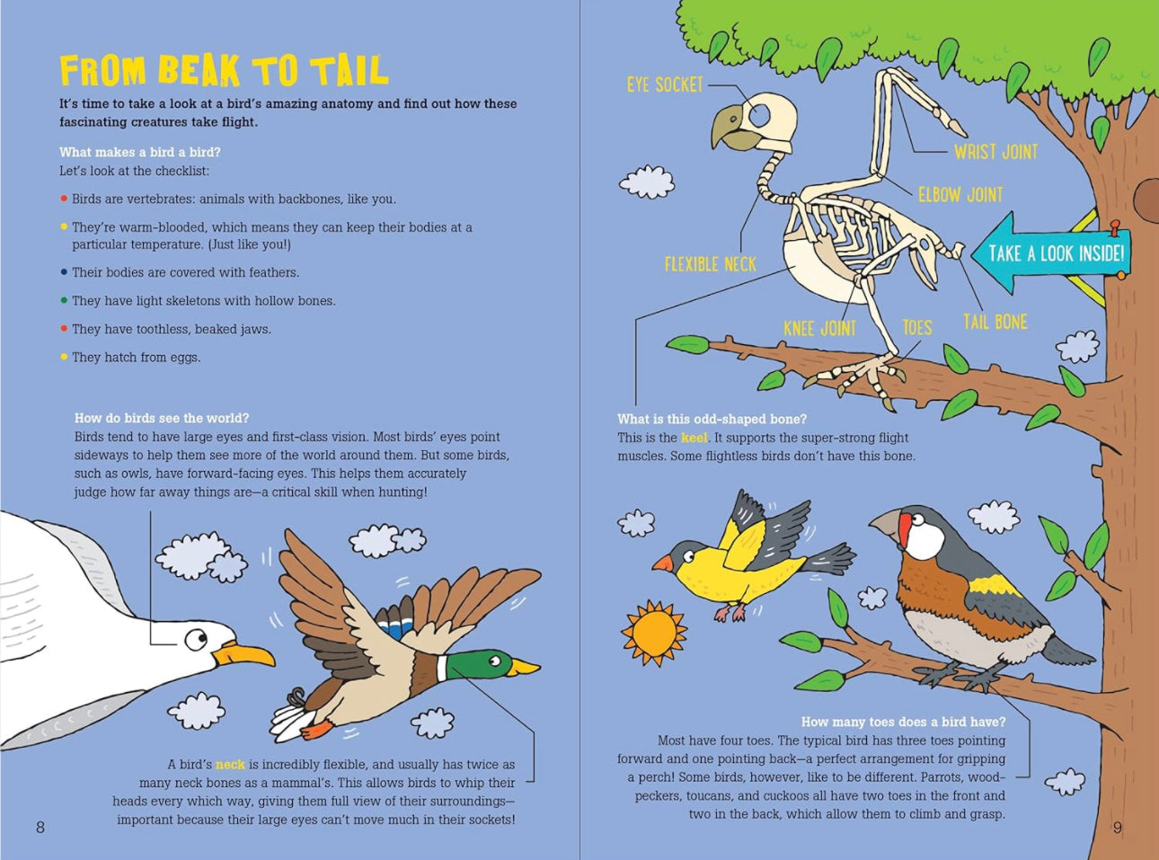 100 Questions About Birds