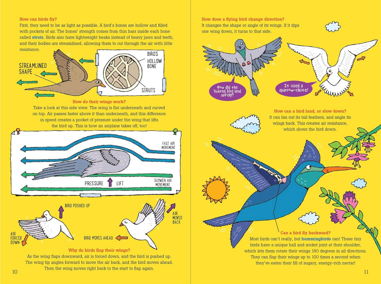 100 Questions About Birds