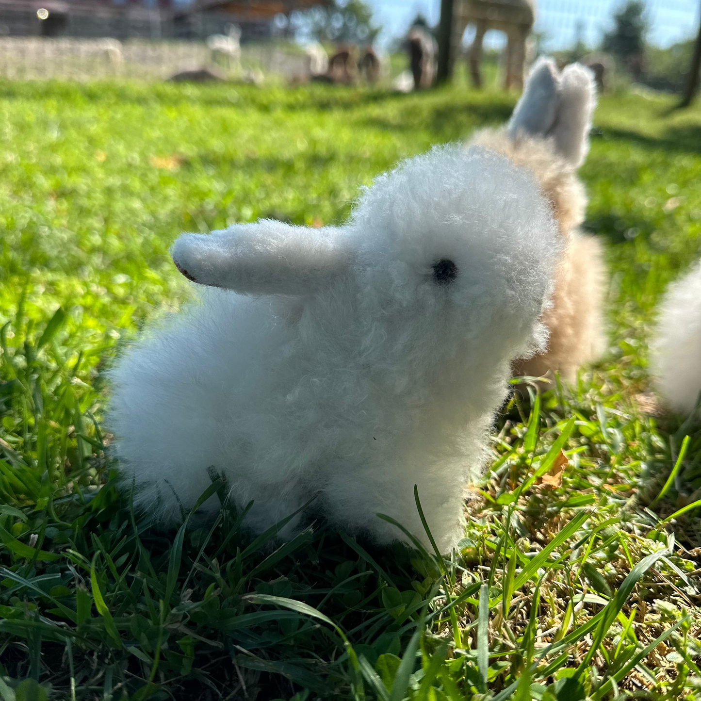 Sitting Bunny 7"