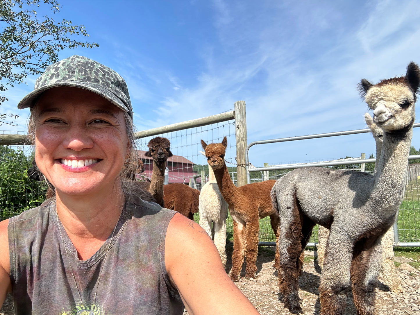 ALPACA YOGA IN JULY/AUG with Cheri Brasseale (Sundays 10AM)