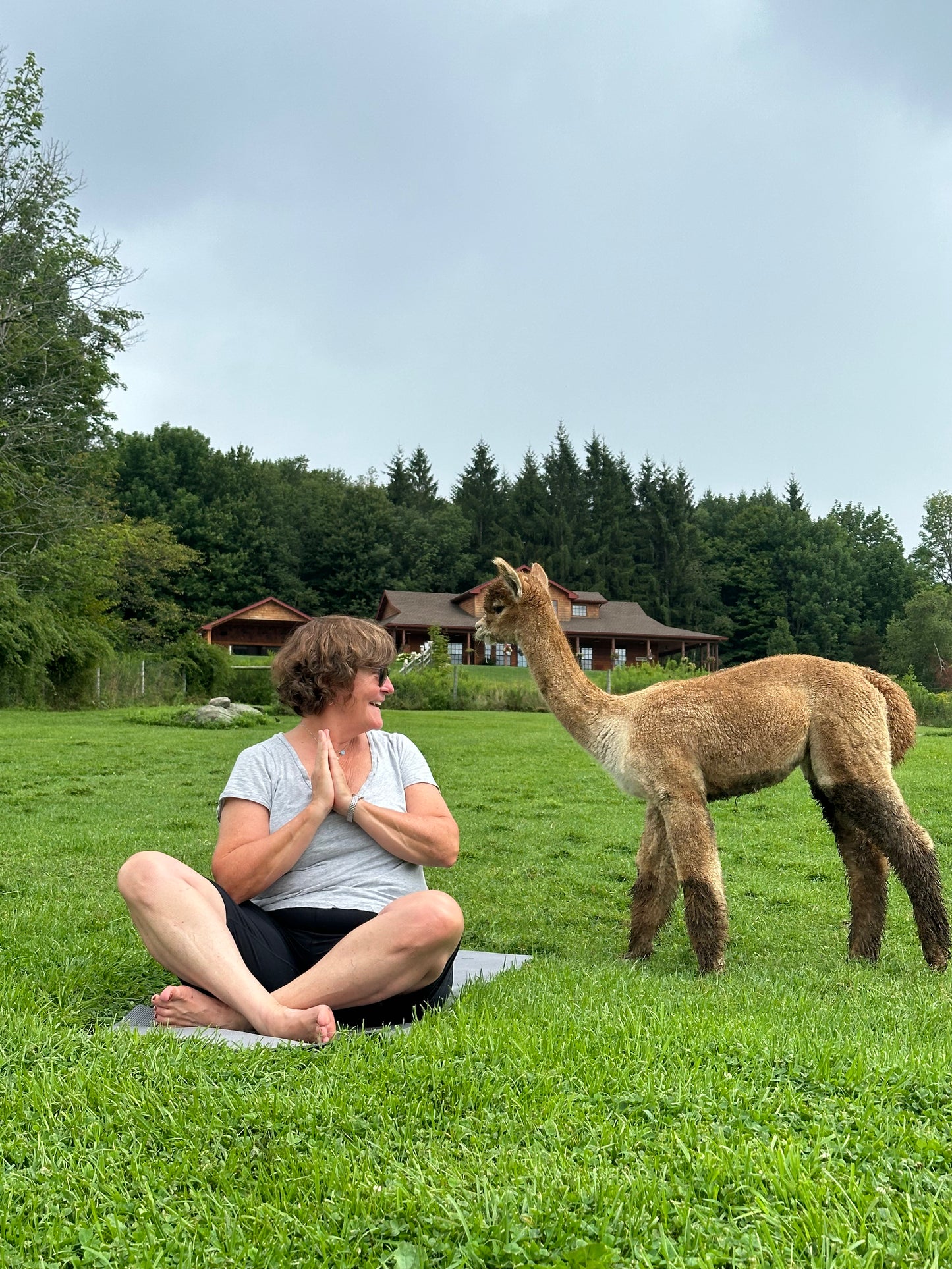 ALPACA YOGA IN JULY/AUG with Cheri Brasseale (Sundays 10AM)