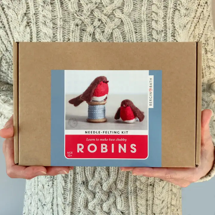 Needle Felting Kit / Robins