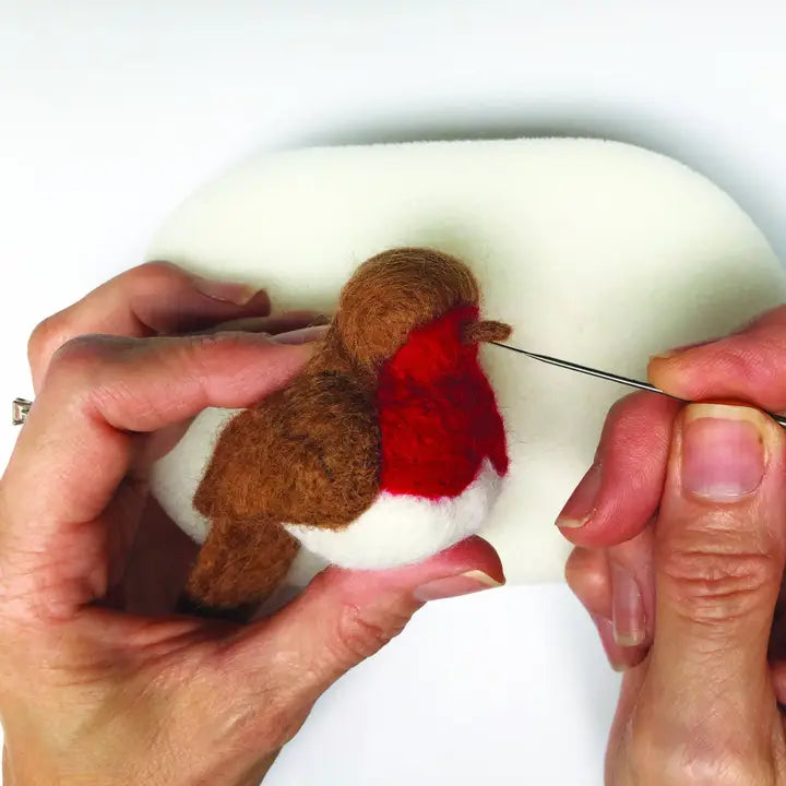Needle Felting Kit / Robins