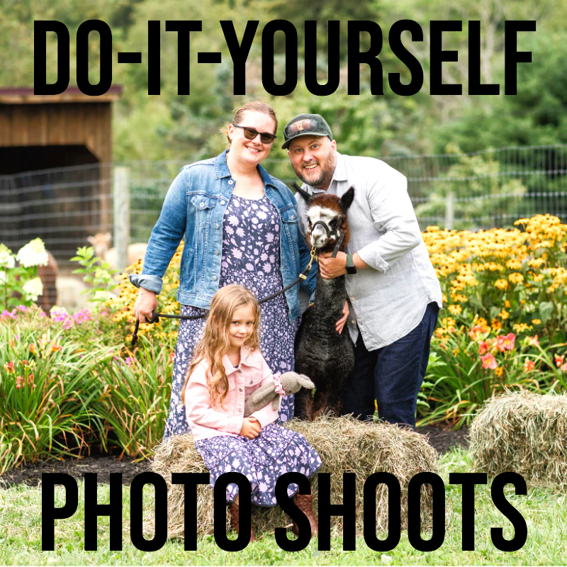 DO-IT-YOURSELF ALPACA PHOTO SHOOTS (Staff Member Assisted)