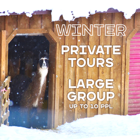 WINTER PRIVATE TOURS JAN 6–MAR 30 (LARGE GROUP up to 10ppl)