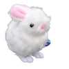 Wind Up  Chick /Bunny
